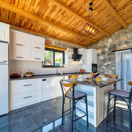 Mariana Villa Fethiye